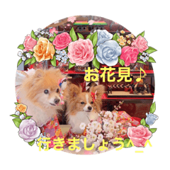 yukari_20210225234245