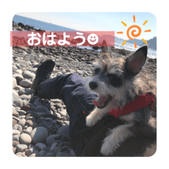 yuto_20210225175938