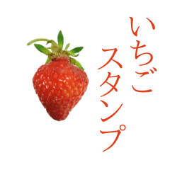いちごの実写スタンプ Line スタンプ Line Store いちごの実写スタンプ Line スタンプ Line Store