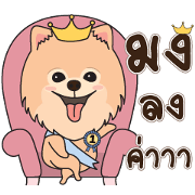 Cute Pom-Pom Cute Pom-Pom