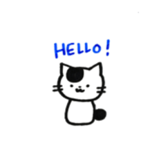 ST_20210225195720