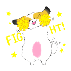 モコモコシーズーのミントくん