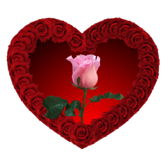 หัวใจสีแดงเป็นรูปดอกกุหลาบสำหรับคู่รัก