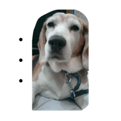ViVi_20210226202305