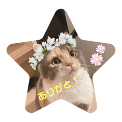 kichi_20210226220224