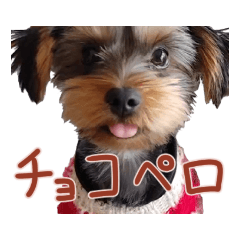 tori_20210226235137