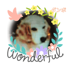 cocoa_20210227070051