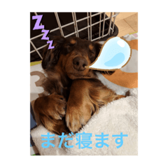show_20210227093559