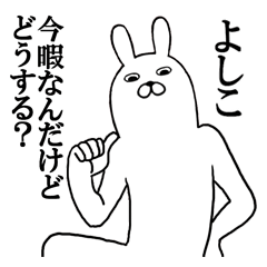 Fun Sticker gift to YOSHIKO Funny rabbit