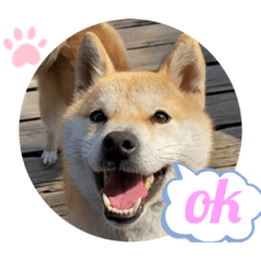 Mizuki_20210226204541