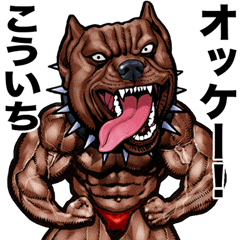 Kouichi dedicated Muscle macho animal