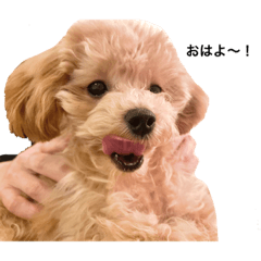 arisa_20210226210249