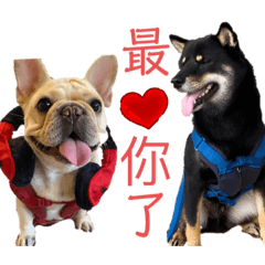 黑柴Q醬生活語錄2