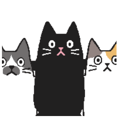 Black Cat OHAGI and boon buddies