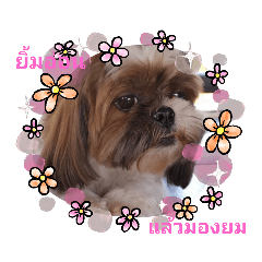 MILDBO19_20210226192825