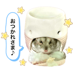 chiitan_20210227095630