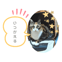 yamada_20210226071203