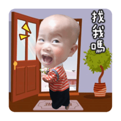 鮮肉帥寶