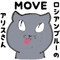 Russian Blue ALICE MOVE