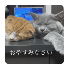 omochi_20210226121404