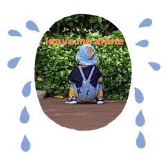 忙內賴日常生活