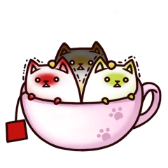 Tea Bag Cat