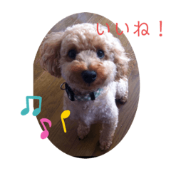 akiko_20210226153017