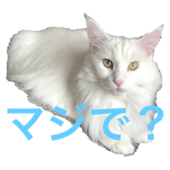 miki_20210226161200