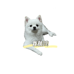 無可取代的寶貝