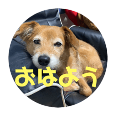 Saya_20210227120001