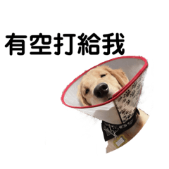 Poki生活-第三季