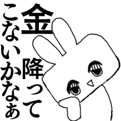 Rabbit -Square face-