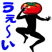 NORI NORI TOMATO