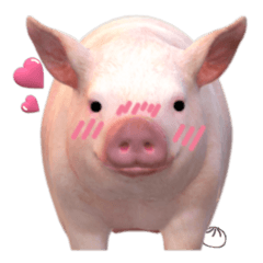 Cute and unfilled pig 2