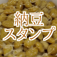 Natto photo sticker.