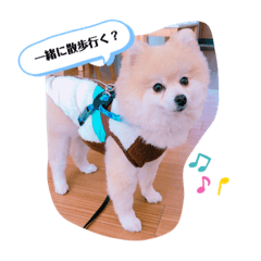 kayo_20210227174932