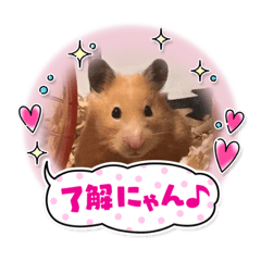 miki_20210227202908