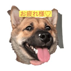 mimi_20210227194159