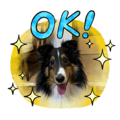 Piano_20210227205036