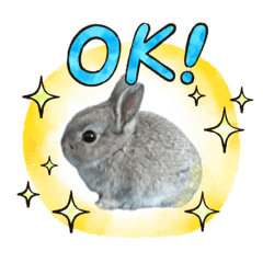 rabbit omochi
