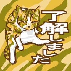Cat of the camouflage pattern