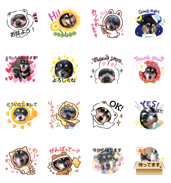 鈴木家のクゥーちゃんごまちゃんスタンプ1 Lineクリエイターズスタンプ Stamplist