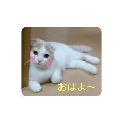 yuka_20210228113316