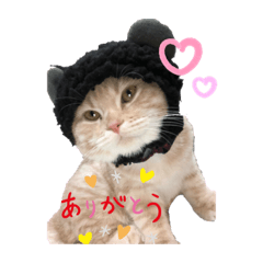 Sayuri_20210228005245