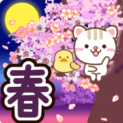 Natural cat, warm spring japan