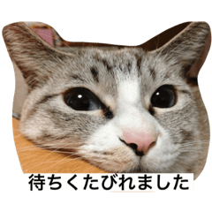 rina_20210228015033