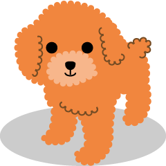 Toy Poodle's various collection