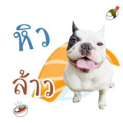 Kaopan : The dog