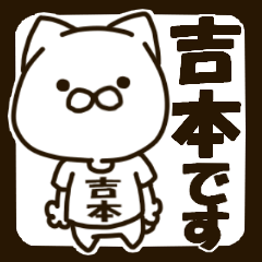 YOSHIMOTO-cat