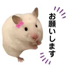 junko_20210228124644